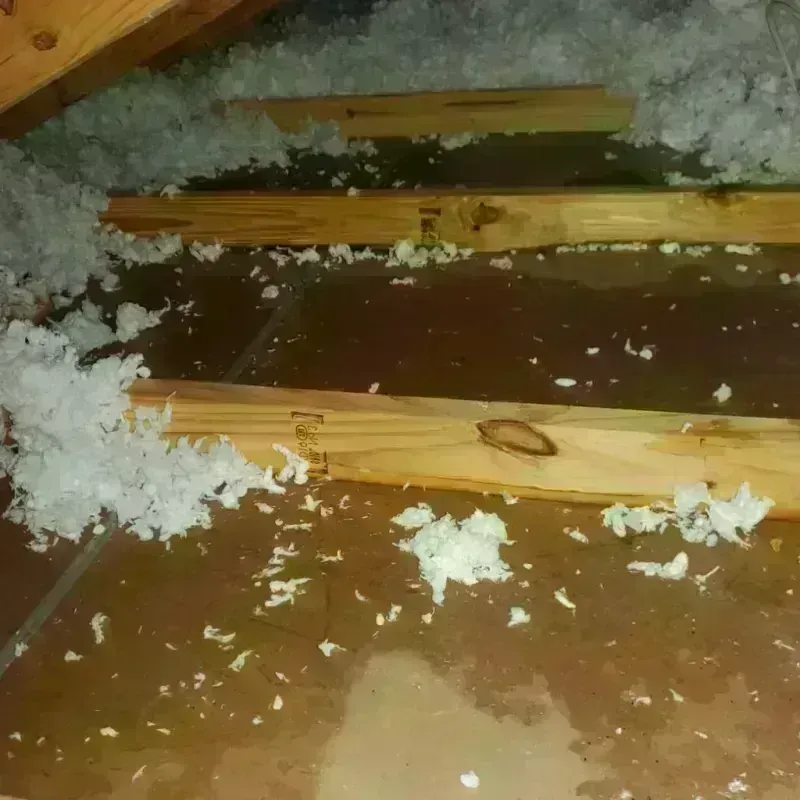 Attic Water Damage in Westerly, RI