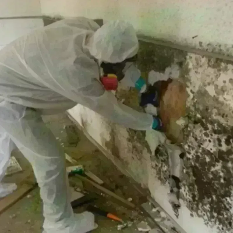 Mold Remediation and Removal in Westerly, RI